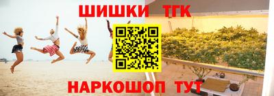 spice Камышлов