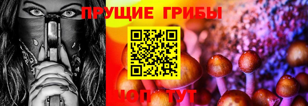 Галлюциногенные грибы Psilocybe Кувандык